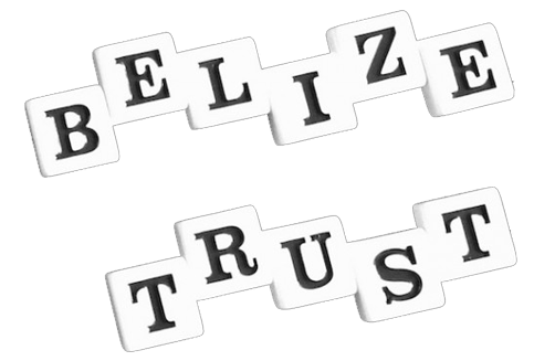 Belize Trust Act